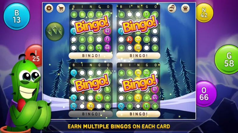 Introduction to Bingo