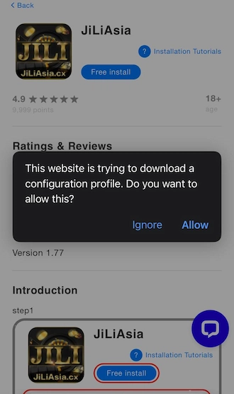 Step 3: A message appears that the site is downloading a profile. Click "Allow" on this message.