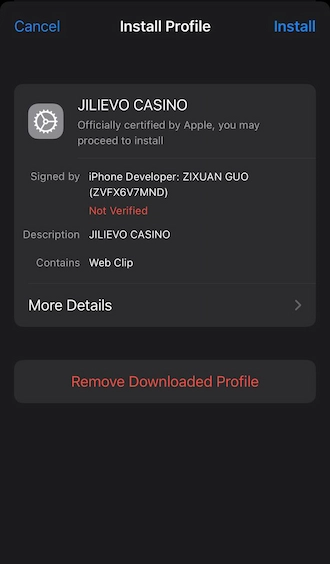Step 5: Go to settings on your phone and select 18JL's profile. Then press "install".